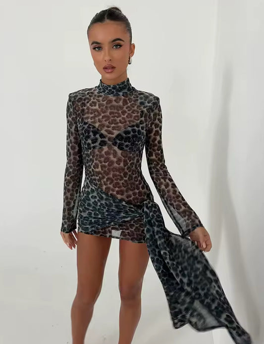 Carly-Mesh Mini Dress